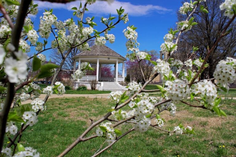 Your Tuesday Plans, Sorted